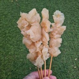 แมงกระพรุน