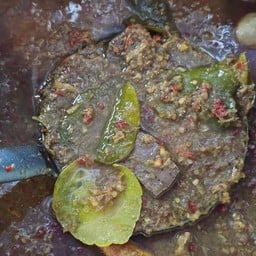 ขนมจีนน้ำยาป่า(พิเศษ)