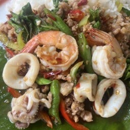 กะเพราโบราณผัดพริกแห้ง-บางบ่อ