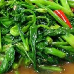 ผักบุ้งไฟเเดงราดข้าว