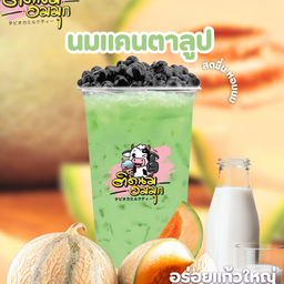 นมแคนตาลูป