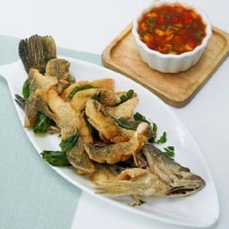 ปลากระพงสามรส