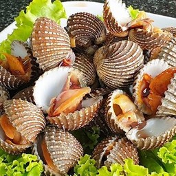 หอยแครงเผา