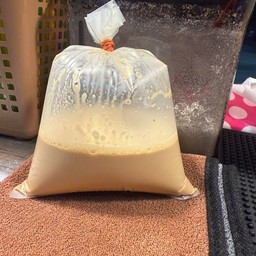 ชาเนสนมสดร้อน