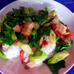 คะน้าหมูสับ