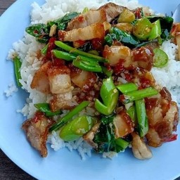 กะเพราหอม