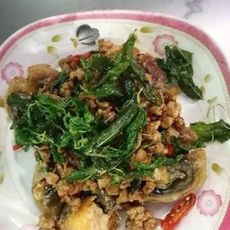 กะเพราไข่เยี่ยวม้าราดข้าว