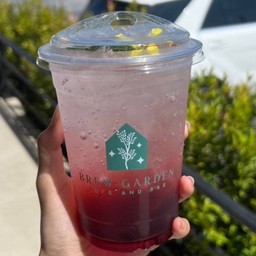 Strawberry Soda