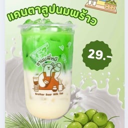 ชานมพี่หมี. ชานมพี่หมีลำผักชี