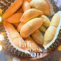 BanpuDurian สุคนธสวัสดิ์