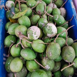 ร้านอ้อมผลไม้ สาขา 2