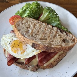 Grilled Ham Cheese Sandwich