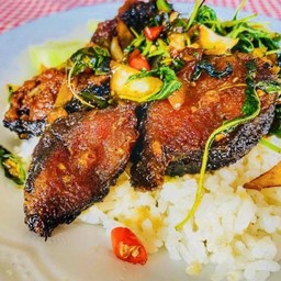 ผัดกระเพราปลาดุกทอดกรอบ + ข้าว