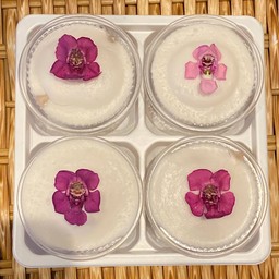 ตะโก้เผือก (เผือกแท้100%)