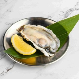 32023 Fresh Oyster 10p