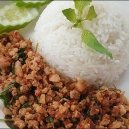 ข้าวกะเพราหมูสับ