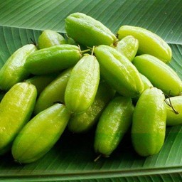 เปรี้ยงปร้าง มะม่วงน้ำปลาหวาน สาขาเซ็นทรัลนครปฐม