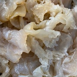 แมงกระพรุน