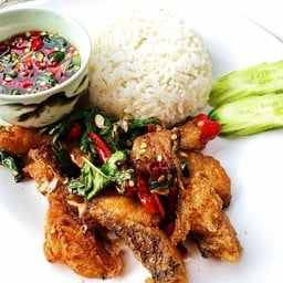 กะเพราปลากะพง