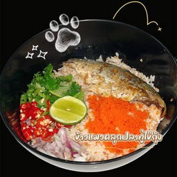ข้าวแมวคลุกปลาทูไข่กุ้ง