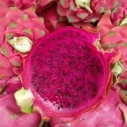 Boom Boom Bar Fruit Smoothies