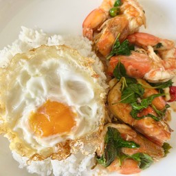 ข้าวกะเพรากุ้ง + ไข่ดาว