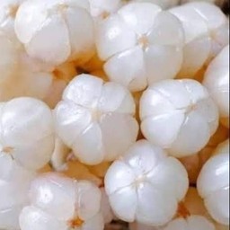 น้องลองกองแกะพร้อมทาน