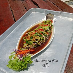ปลากระพงนึ่งซีอื๋ว