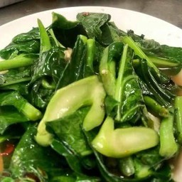 คะน้าน้ำมันหอย(กับข้าว)
