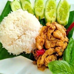 กะเพราไก่ชิ้น