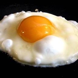 1Egg