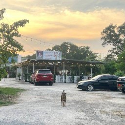 นัดแซ่บท้ายซอยบงกช15 ท้ายซอยบงกช15