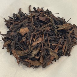 Hot Feng Huang (ฟงหวงกล้วยไม้รวมร้อน)