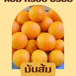 ไข่เต่ามันส้ม