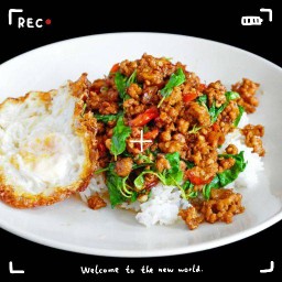 กะเพรา 100 ปี