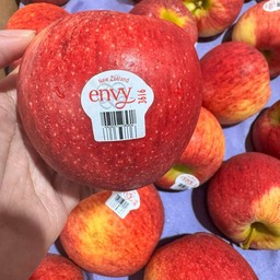 แอปเปิ้ลเอนวี่ U.S.A (ลูก)