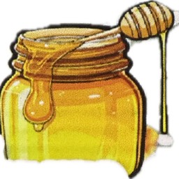 น้ำผึ้งนมสด