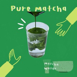 Pure Matcha