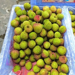 ลิ้นจี่สนมยิ้ม 4.5-5 กก./ตระกร้า