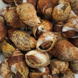 หอยหวานย่าง 500 กรัม