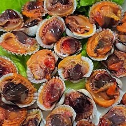 หอยแครงลวก 500 กรัม