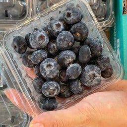 Blueberry