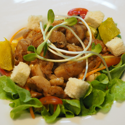 DL สลัดไก่ย่าง