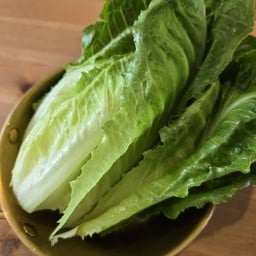 ผักสลัดคอส (Cos Lettuce)