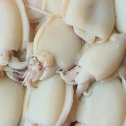 หมึกกรัดองย่าง 500 กรัม