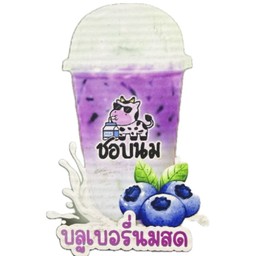 บูลเบอรี่นมสด