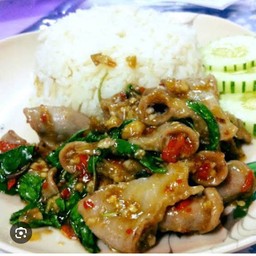 กระเพราไส้อ่อนราดข้าว