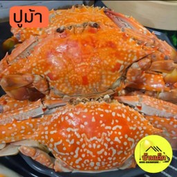 ปูม้านึ่ง 500 กรัม