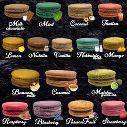 มาการอง 10 ชิ้น