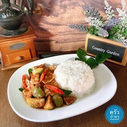 ข้าวพริกแกง(มะเขือ)